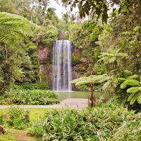 Millaa Millaa watervallen